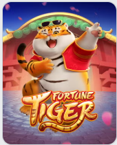 fortune tiger